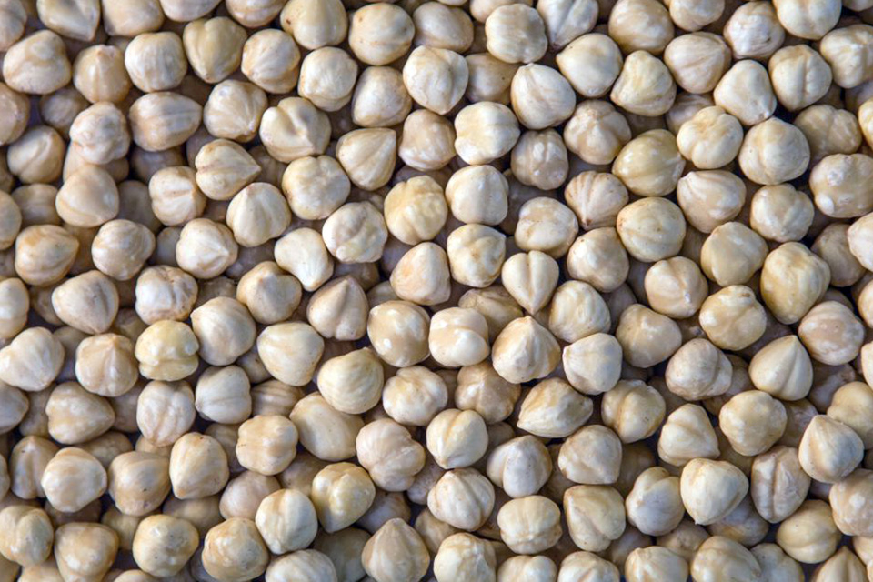 Blanched hazelnut kernels
