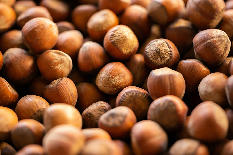 In-shell hazelnuts